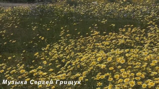 МУЗЫКА ДЛЯ ДУШИ МЕЛОДИЯ ЛЕТА смотреть онлайн