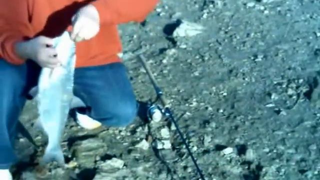 Жерех Кубань 2 смотреть онлайн