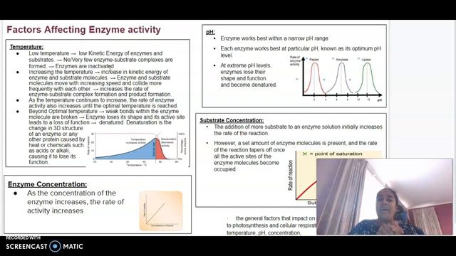 Unit 3 AOS 2 Biology: Regulation of Biochemical pathways & Enzymes смотреть онлайн