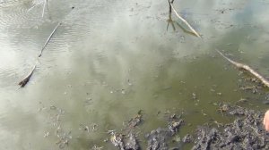 Рыбалка на ПОДЪЁМНИК.Ловля пауком.ВЫЛОВИЛИ ВСЁ ОЗЕРО.