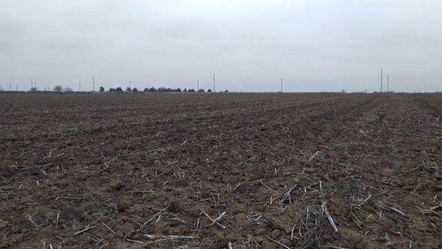 ПОИСК МОНЕТ ВОЗЛЕ КЛАДБИЩА. КОП 2021. НАХОДКИ С ФОРТУНА ПРО 2. смотреть онлайн