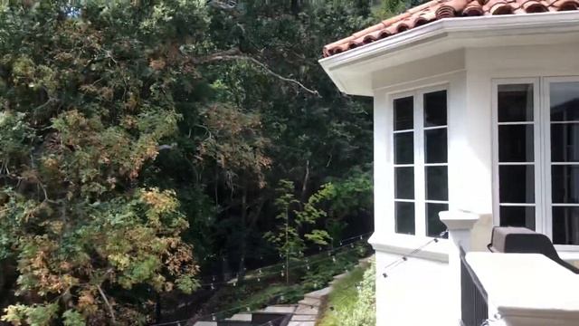 Growing Bougainvillea In Cold Climates