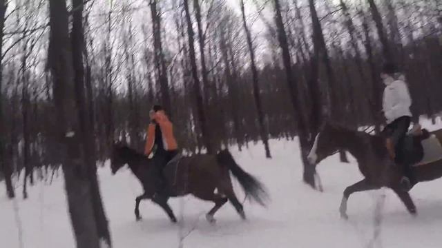 зимний мув смотреть онлайн