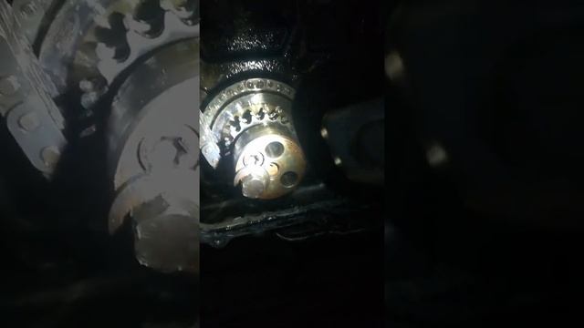 Calage Motor Ford Transit 2.4