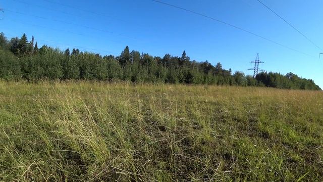 В лес 28 июля 2022 1ч. смотреть онлайн