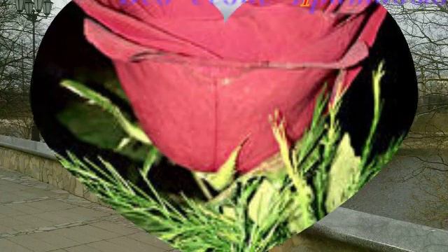 С Днём Рождения Гульфия Габдулбариевна!!!!😘😘😘 смотреть онлайн