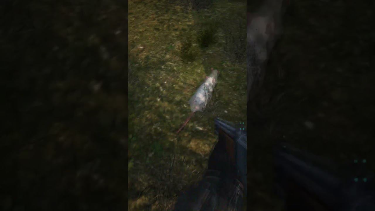 НЕУЛОВИМАЯ ЧЕРТОВКА - Сталкер ОП 2.2 Mod Pack LSC short #shorts смотреть онлайн