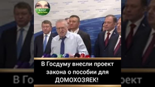 В госдуму внесли проект закона о пособии для домохозяек по 12400 рублей смотреть онлайн