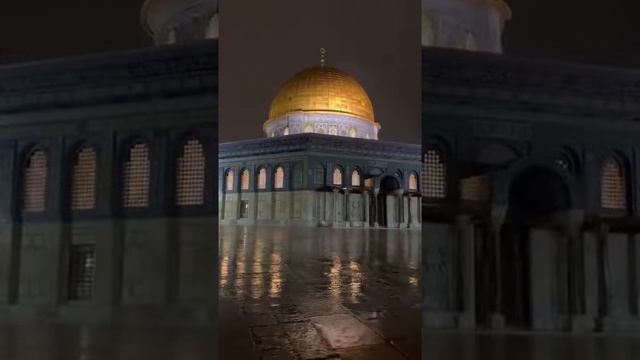 masjad aqsa смотреть онлайн