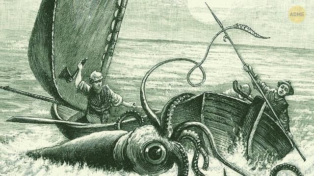 В Бермудском треугольнике могут скрываться гигантские кальмары! смотреть онлайн