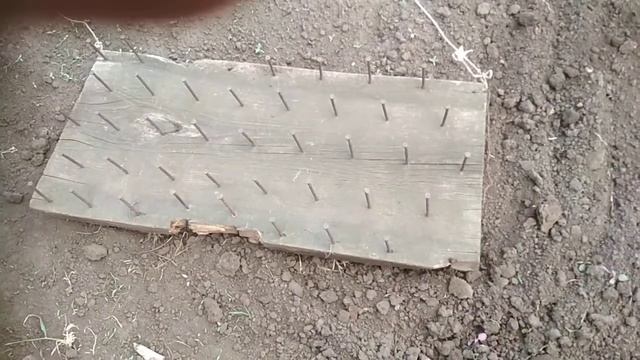 Бороню огород. Простая самодельная борона. смотреть онлайн