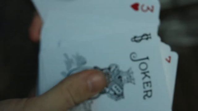 UNBOXING & REVIEW: Foil Back Crimson Bicycle Playing Cards