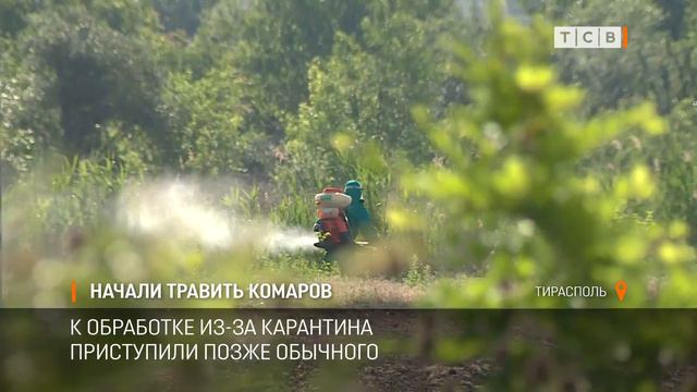 Начали травить комаров смотреть онлайн