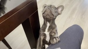 Очистка болтов от ржавчины. Проверено, можно использовать в гараже.