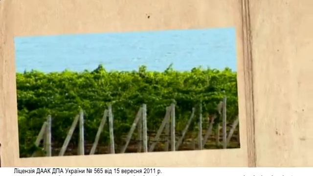 Реклама винодельческого хозяйства Князя Трубецкого смотреть онлайн