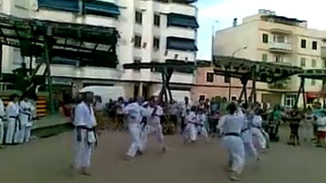 Demostración De Karate-do Shotokan S.K.I