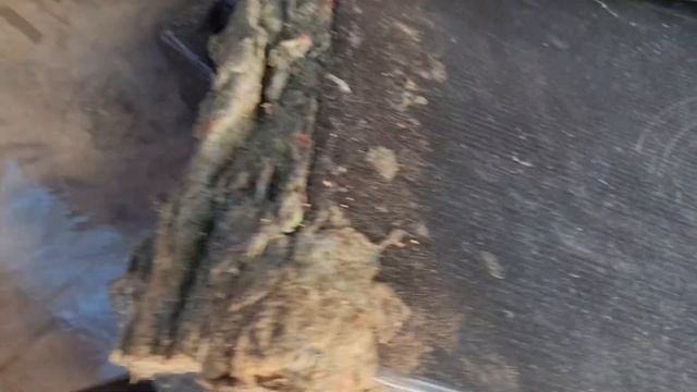 Коплю на Х5 Вторая серия смотреть онлайн