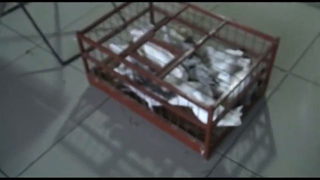 Ярмарка голубей в Рязани 28 сентября 2019 года смотреть онлайн