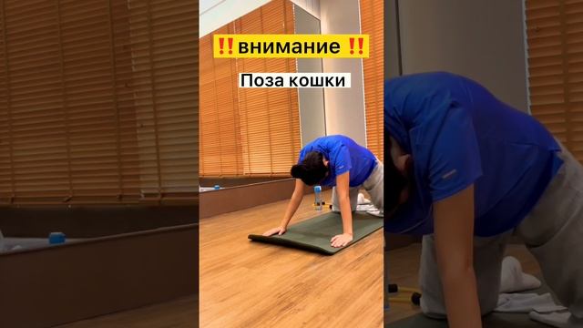 Поза кошки для беременных женщин ??♀️ смотреть онлайн