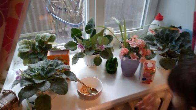 Я готовлю хлопья с молоком смотреть онлайн