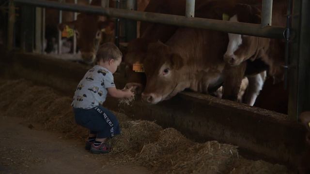 Azienda Agricola Moretti смотреть онлайн