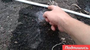 Полу автоматический полив теплицы. Используем металлопластиковые трубы. Как собрать капельный полив