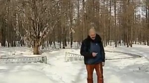 Сборник передач из цикла Искатели   Завещание Петра I