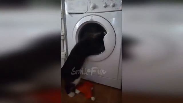 Я тоже хочу постирать! смотреть онлайн