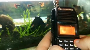 Quansheng TG UV2 Plus - самый бюджетный СУПЕРгетеродин!