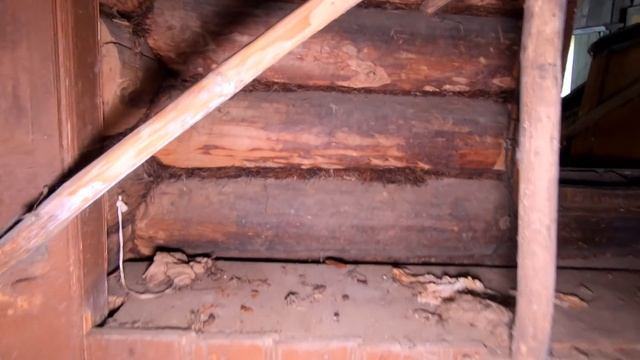 Старинная заброшенная деревня Поздяки. Кировская область. Покинутый мир Вятки. смотреть онлайн