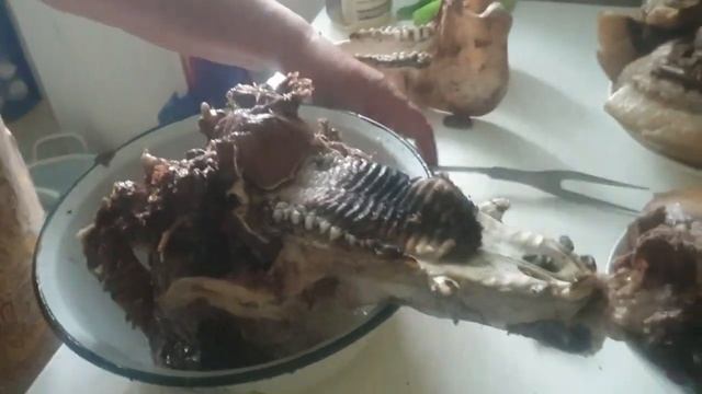 ШИКАРНАЯ КОЛБАСА ИЗ СВИНОЙ ГОЛОВЫ)))доступно, вкусно и полезно смотреть онлайн