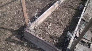 навоз парник ленивая грядка