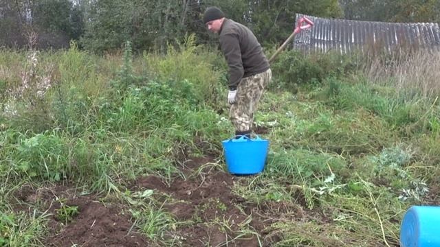 КУПИЛ ДОМ В ДЕРЕВНЕ / СОБИРАЮ ГРИБЫ / КАРТОШКА / ЖИЗНЬ В ДЕРЕВНЕ смотреть онлайн