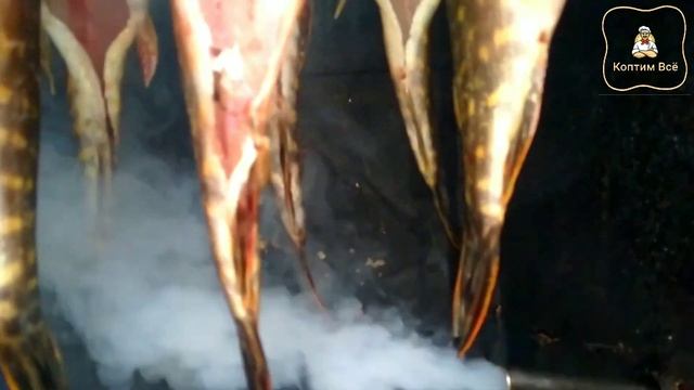 Как коптить рыбу горячим способом? Горячее копчение рыбы. смотреть онлайн