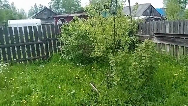 ГДЕ ОБИТАЮТ КАРАСИ смотреть онлайн