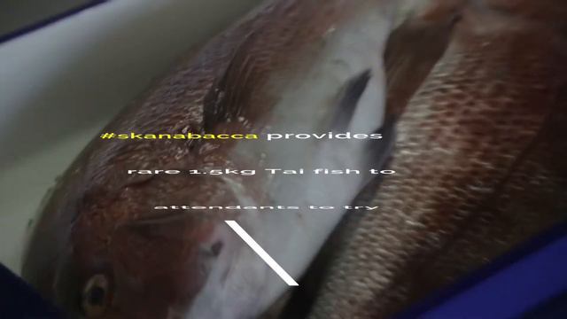 #sakanabacca : Sashimi Secret смотреть онлайн