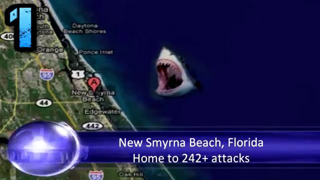 Top 5 shark attack cases cannibal horror смотреть онлайн