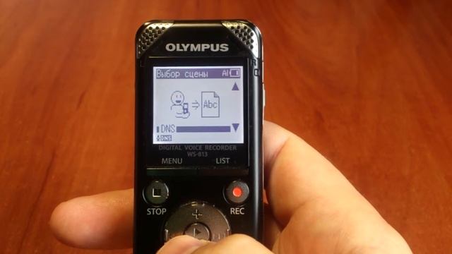 Обзор и описание OLYMPUS WS-813