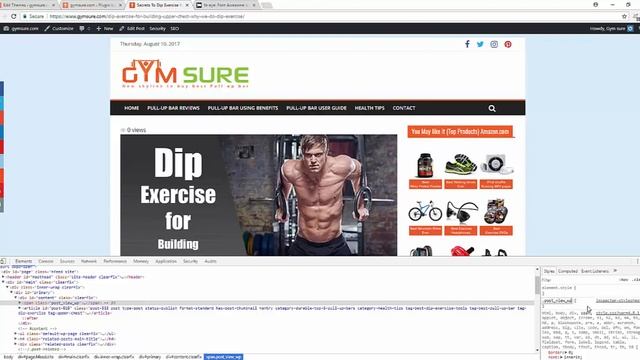 How to add page view counter on single page or post in wordpress website смотреть онлайн