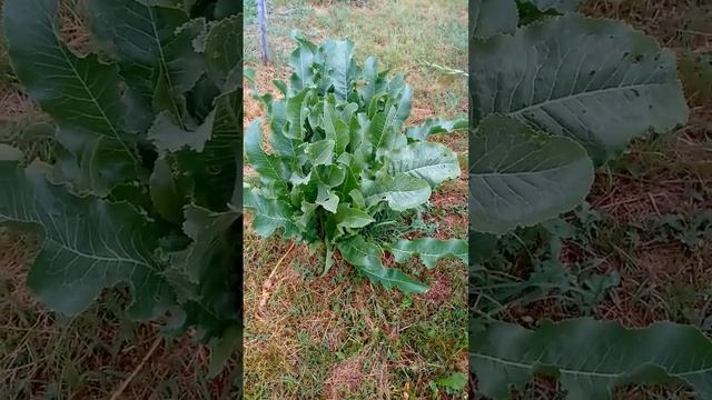 Бизнес-Советы и Инструкции