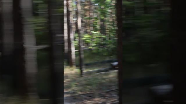 СУХОЕ ГОЛОДАНИЕ! ПОЛНОЕ ВИДЕО НА КАНАЛЕ! смотреть онлайн