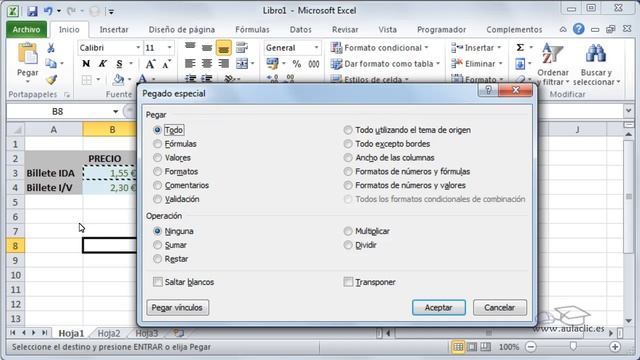 Curso de Microsoft Excel 2010. 4.3. Pegado especial. смотреть онлайн