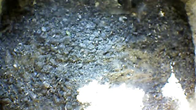 From Internet Camera(Turmfalken[03:1A:A5])2014/07/14,19:11:09_D смотреть онлайн
