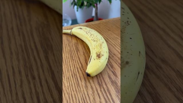 Как вырастить бананы в домашних условиях? Экзотика на подоконнике. Бананы из семян. смотреть онлайн