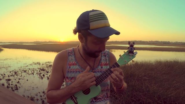 Green Day - Longview (acoustic ukulele cover) смотреть онлайн