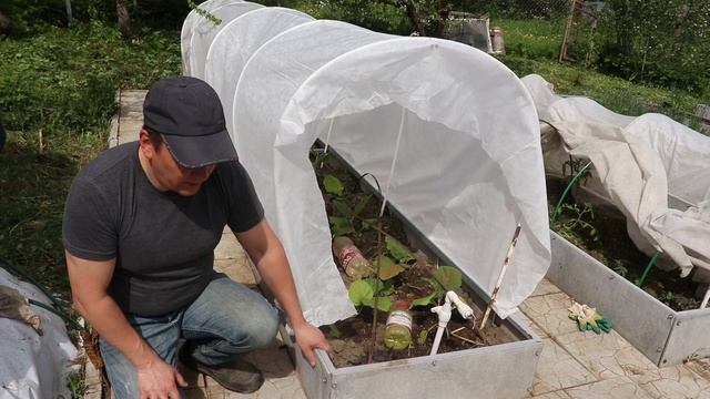 ЛУЧШИЙ способ КАК ЗАКРЕПИТЬ СПАНБОНД НА ДУГИ | крепление ЗИГ ЗАГ. ЖКВ Саморучка смотреть онлайн