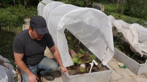 ЛУЧШИЙ способ КАК ЗАКРЕПИТЬ СПАНБОНД НА ДУГИ | крепление ЗИГ ЗАГ.  ЖКВ Саморучка