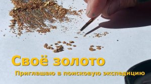 Своё золото. Приглашаю в поисковую экспедицию на золотоносный участок