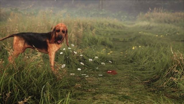 theHunter: Call of the Wild | BLOODHOUND DLC FULL REVEAL TRAILER — 18th March 2021 смотреть онлайн