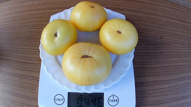 Томат. Белый гигант (White Giant)